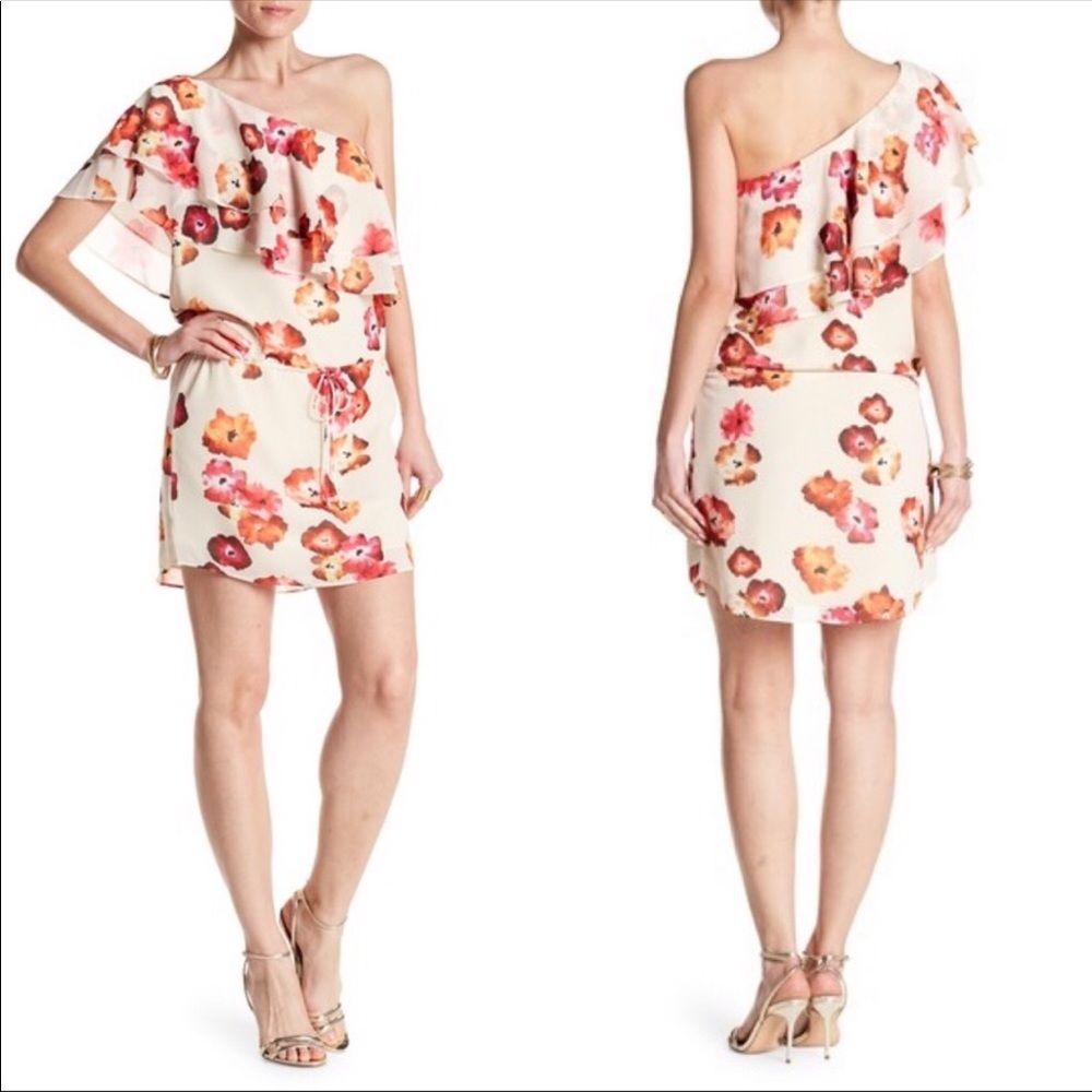 Haute Hippie | Dye Floral One Shoulder Dress